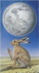 moon-hare